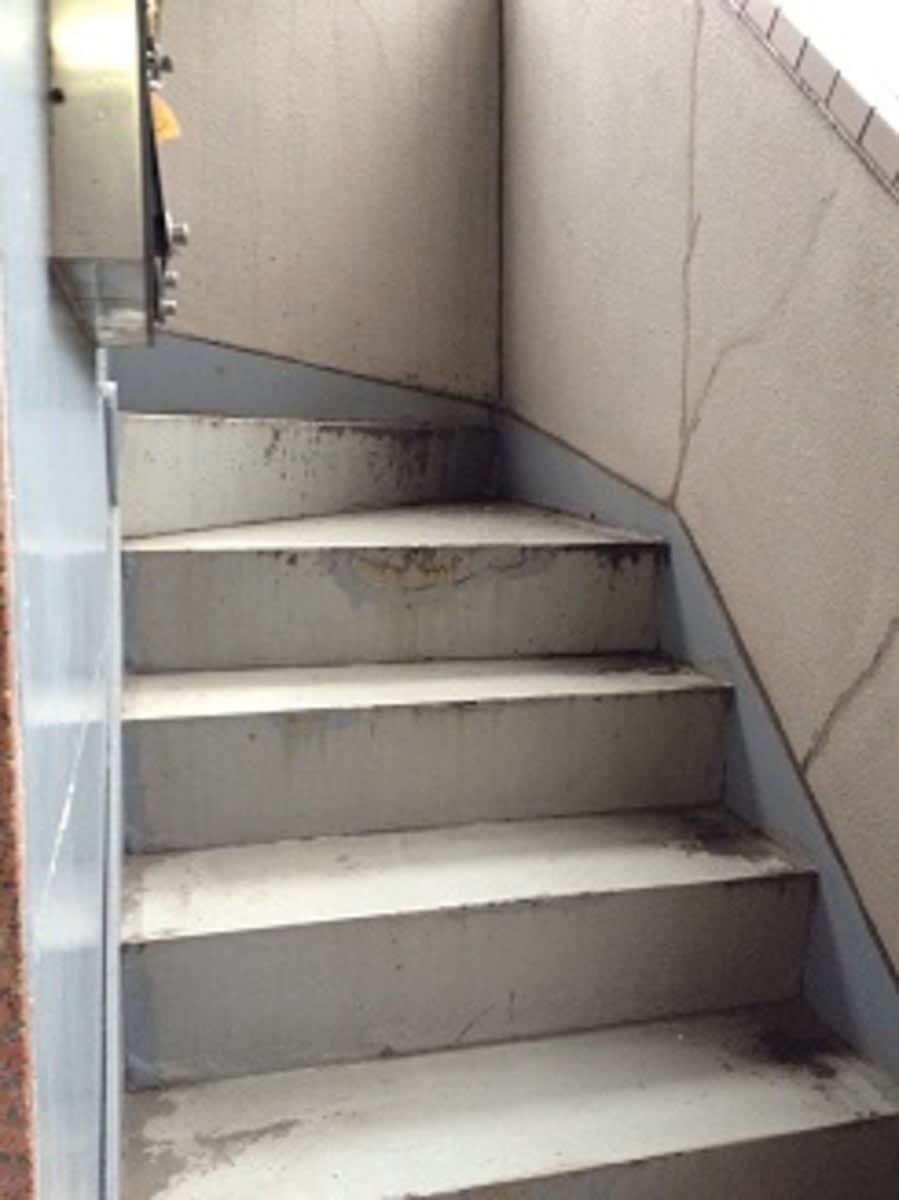 v20250427002254/fresh/building/J00100387606_4