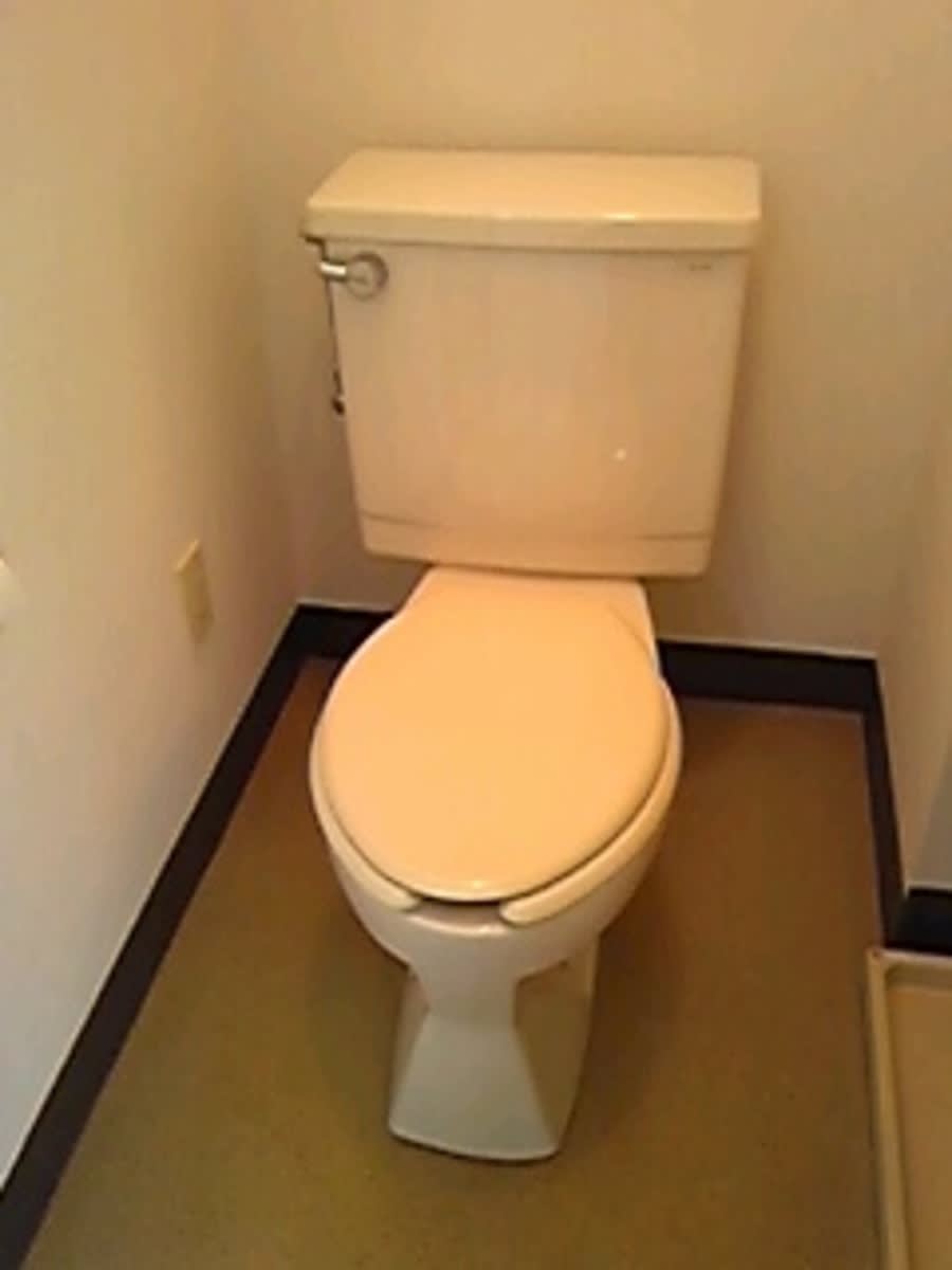 v20250427002254/fresh/building/J00100388883_7