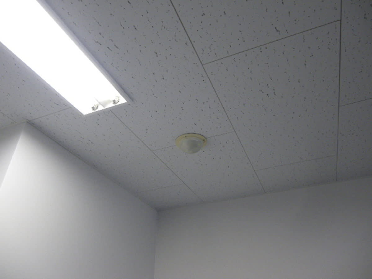 v20250427003014/fresh/building/J00100390704_10