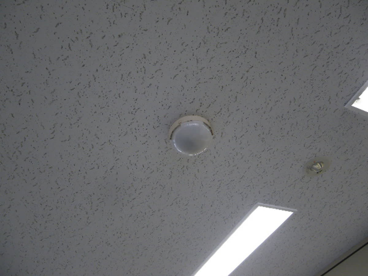 v20250427003014/fresh/building/J00100390803_14