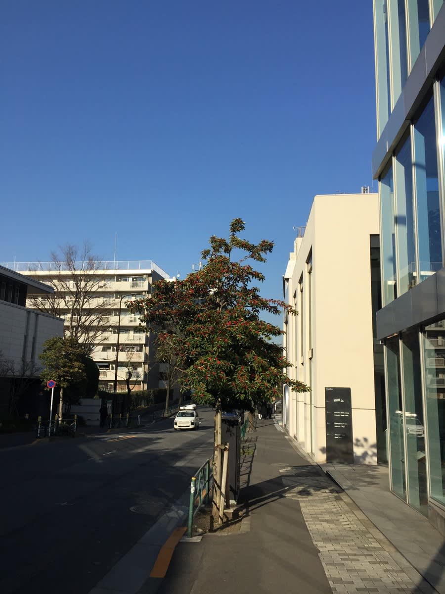 v20250427003014/fresh/building/J00100392717_2
