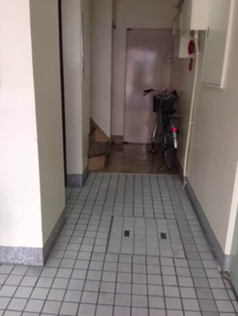 v20250427003805/fresh/building/J00100398355_4