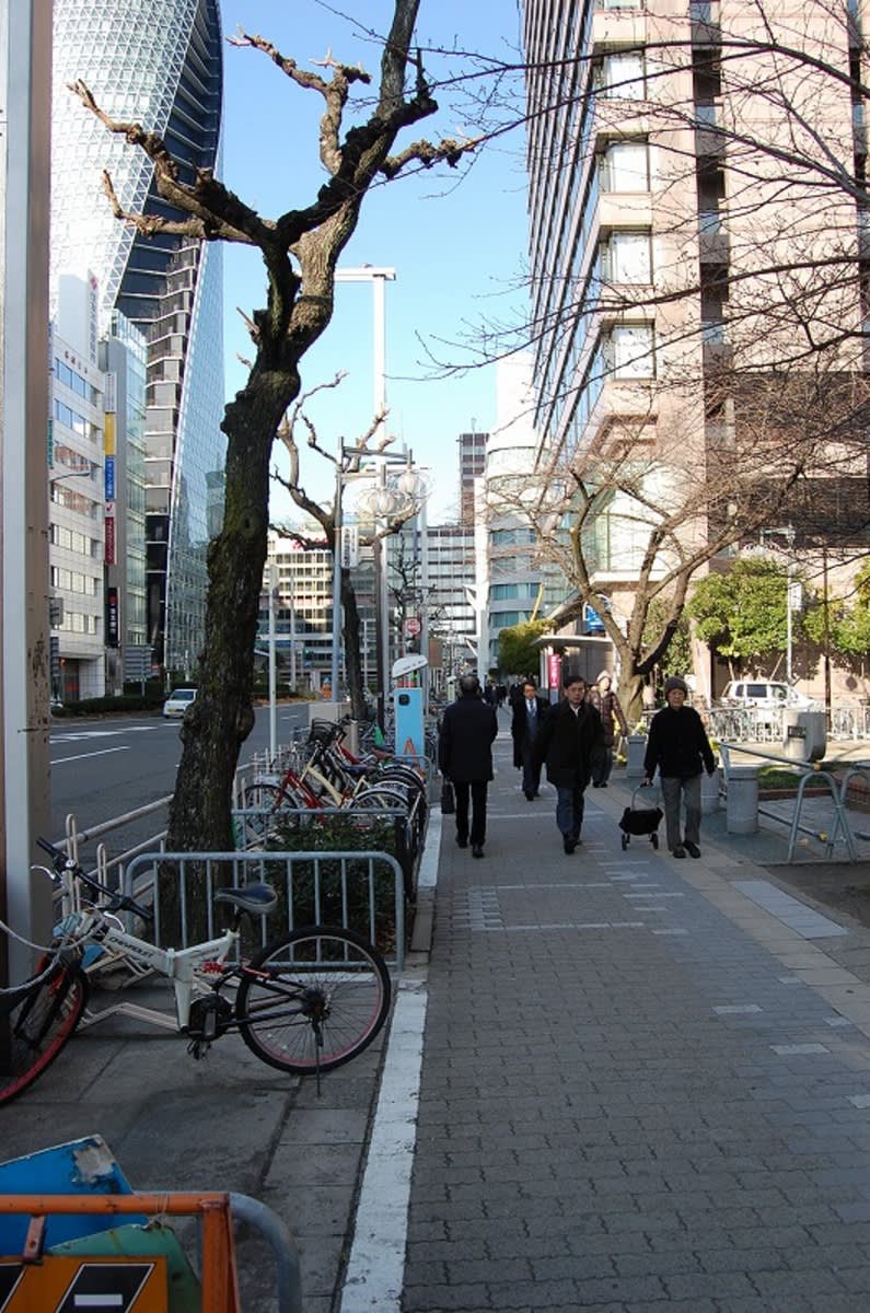 v20250427003805/fresh/building/J00100399573_2