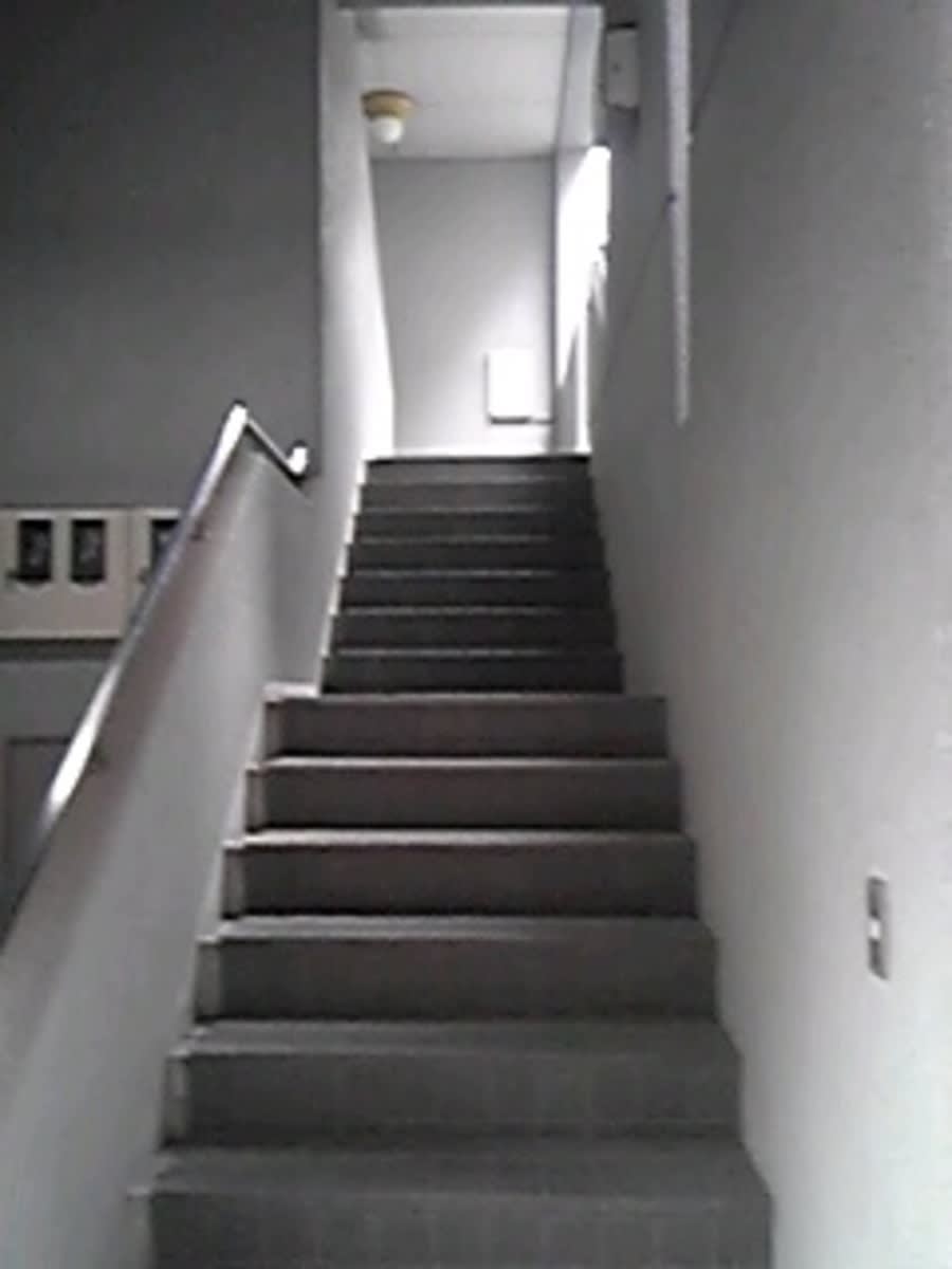 v20250427004119/fresh/building/J00100402172_4