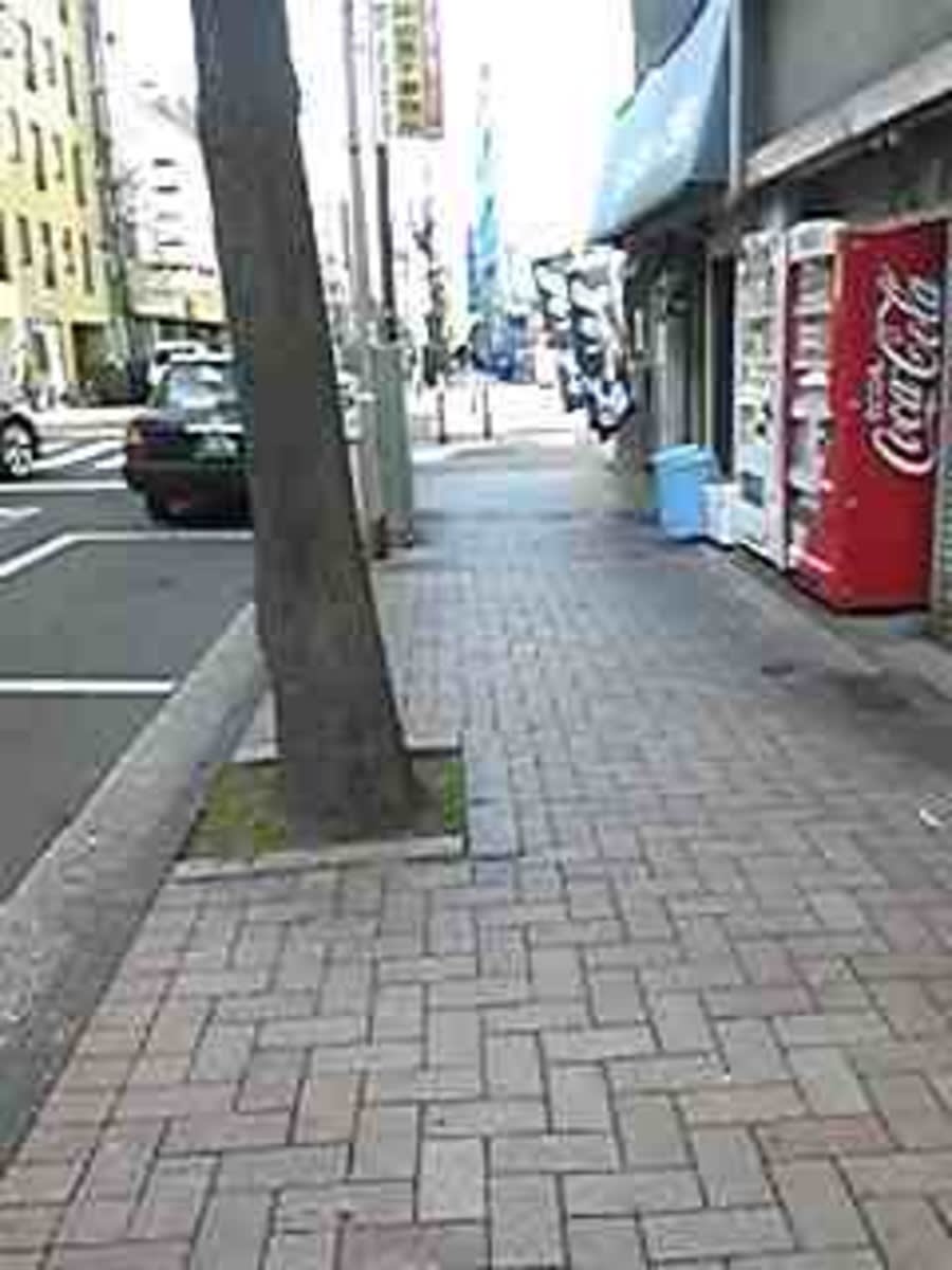 v20250427004119/fresh/building/J00100403237_2