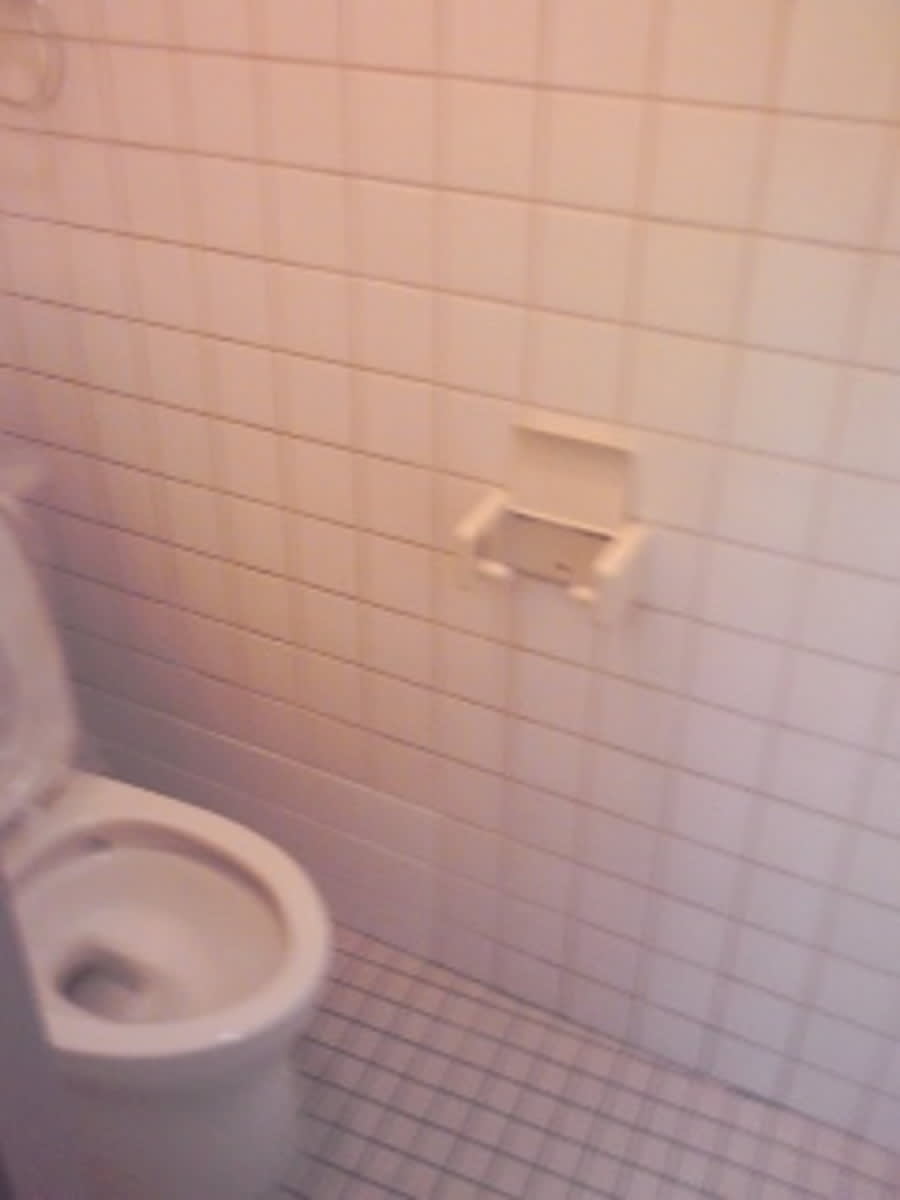 v20250427004119/fresh/building/J00100404098_7