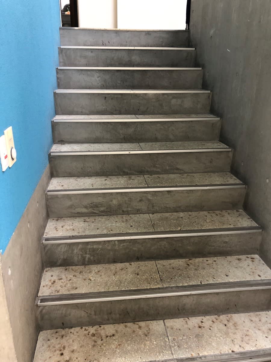 v20250427004617/fresh/building/J00100406235_4