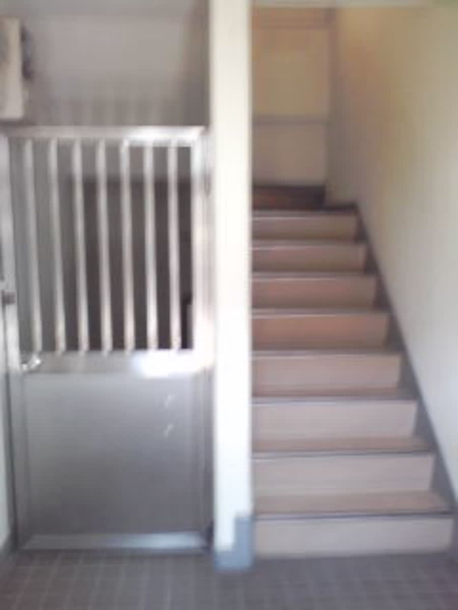 v20250427004617/fresh/building/J00100406549_4