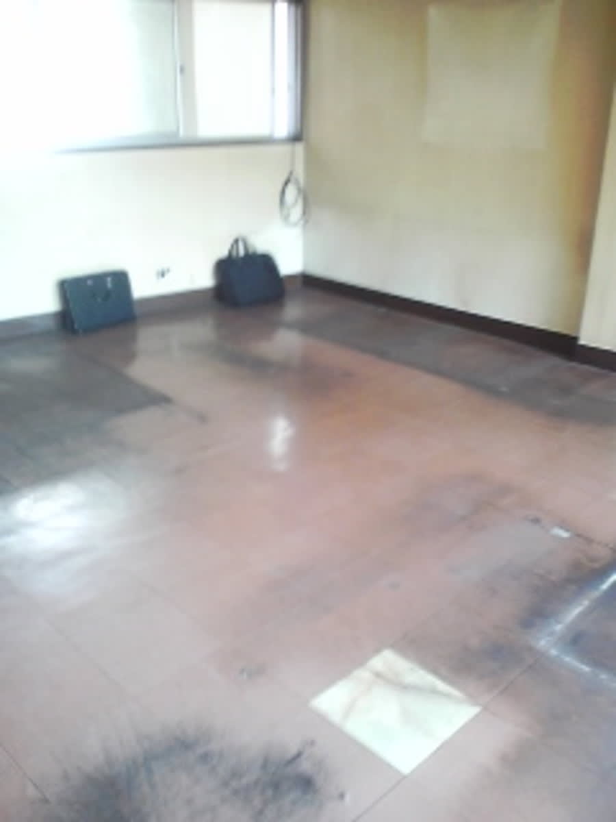 v20250427004617/fresh/building/J00100406634_6