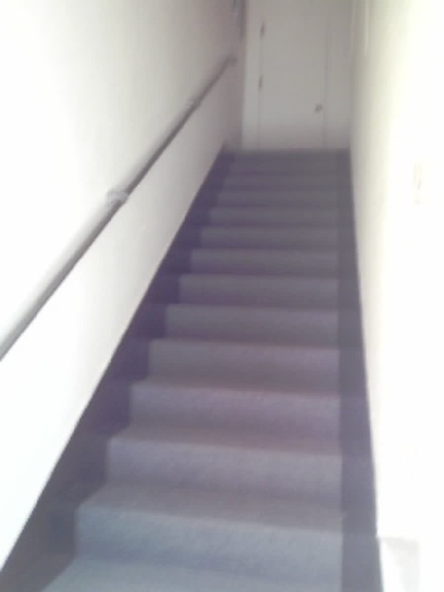v20250427004617/fresh/building/J00100406981_4