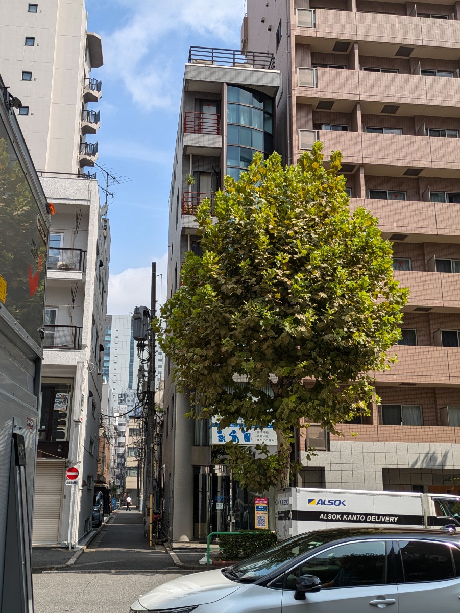 v20250427004617/fresh/building/J00100407181_1