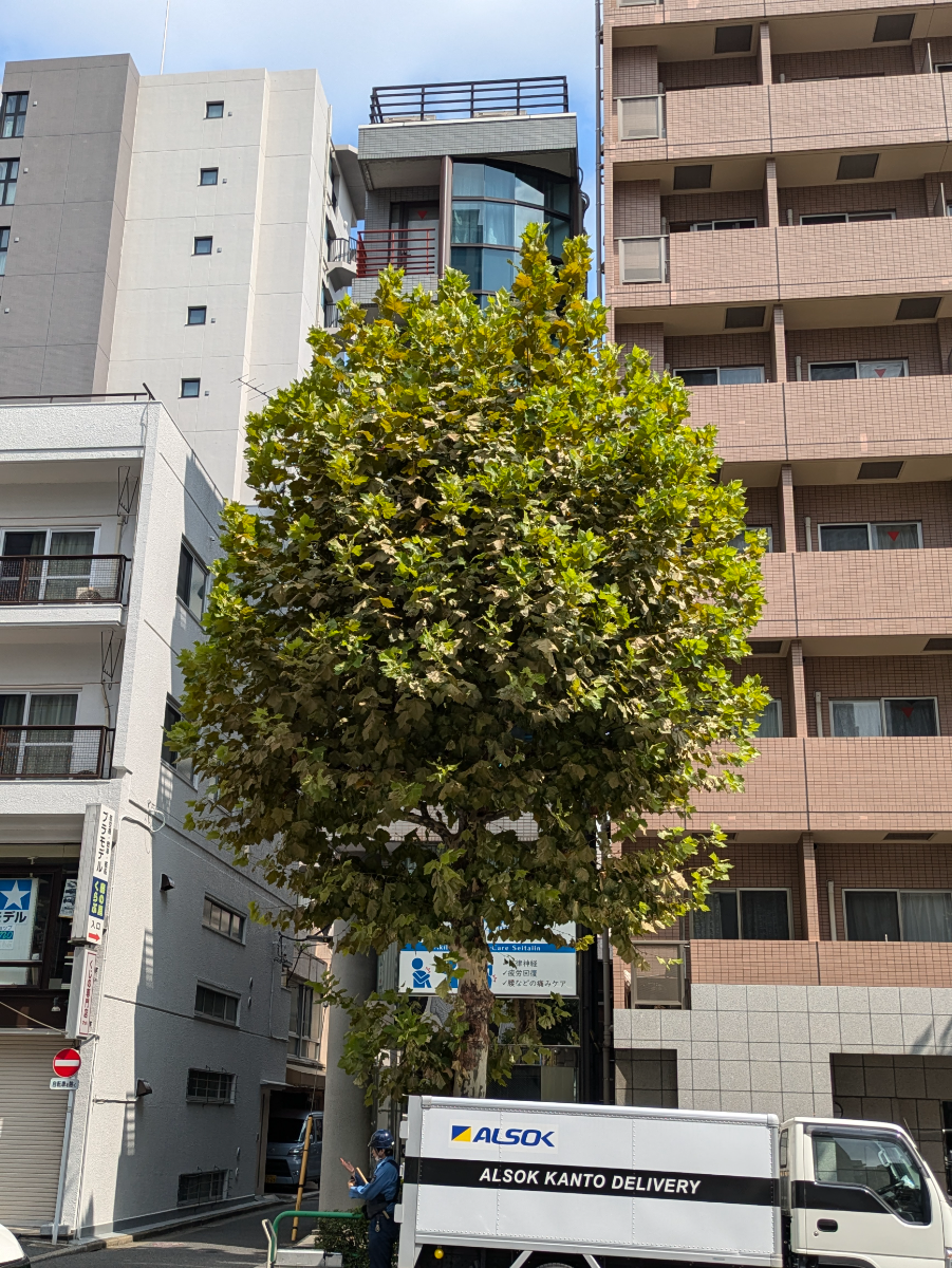v20250427004617/fresh/building/J00100407181_6