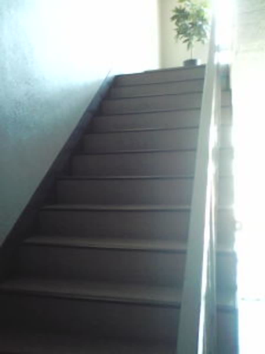 v20250427004617/fresh/building/J00100407564_4