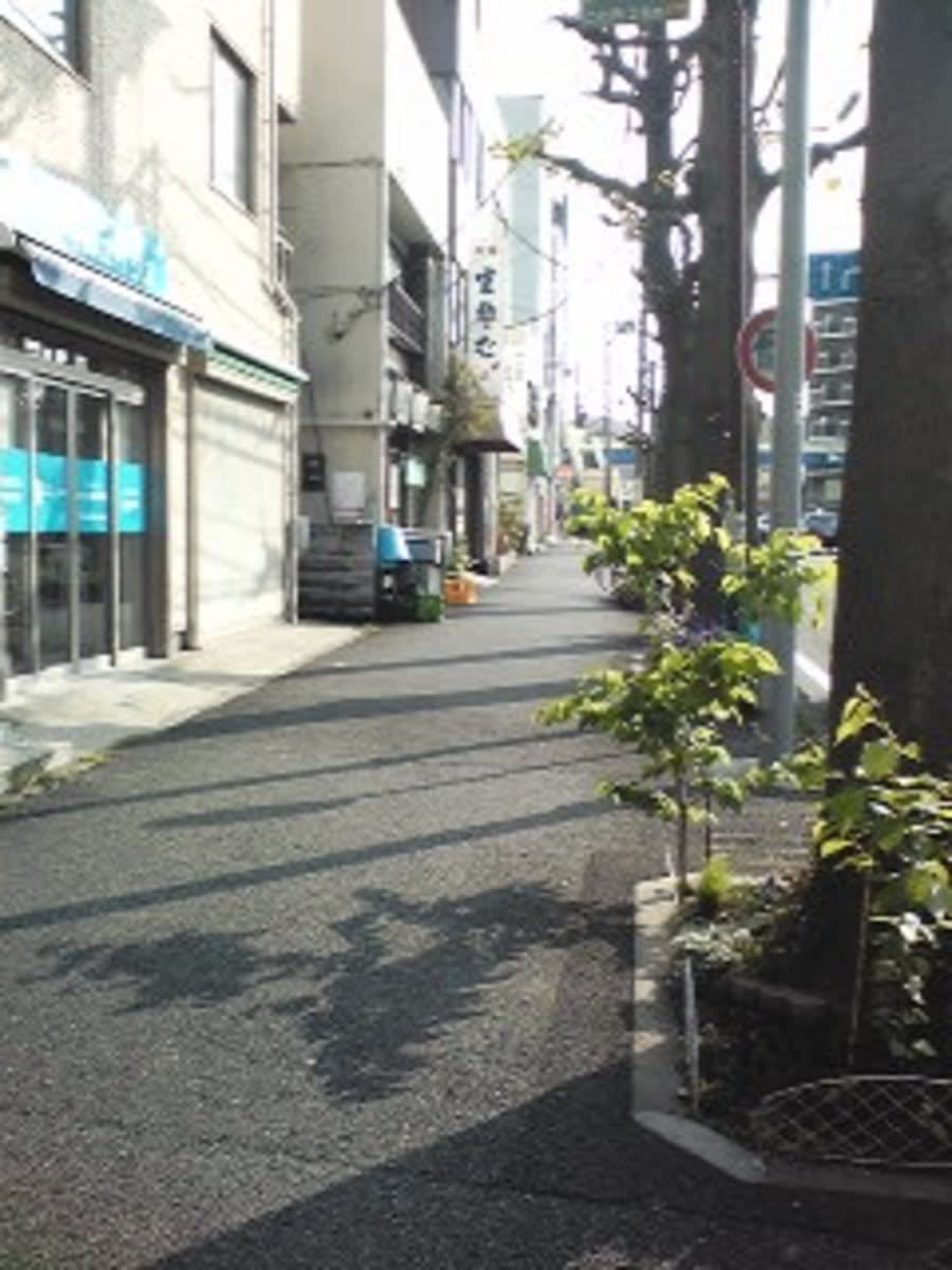 v20250427004617/fresh/building/J00100408950_3