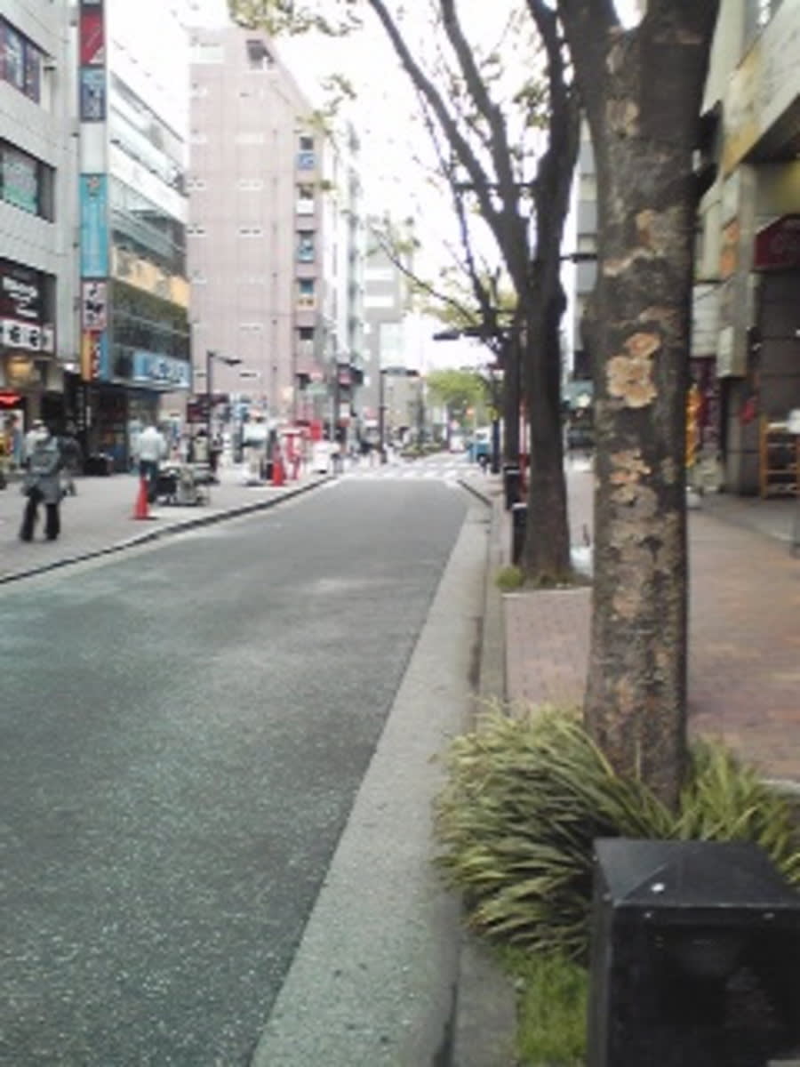 v20250427004617/fresh/building/J00100409300_2