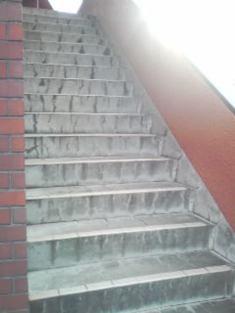 v20250427005210/fresh/building/J00100411138_4
