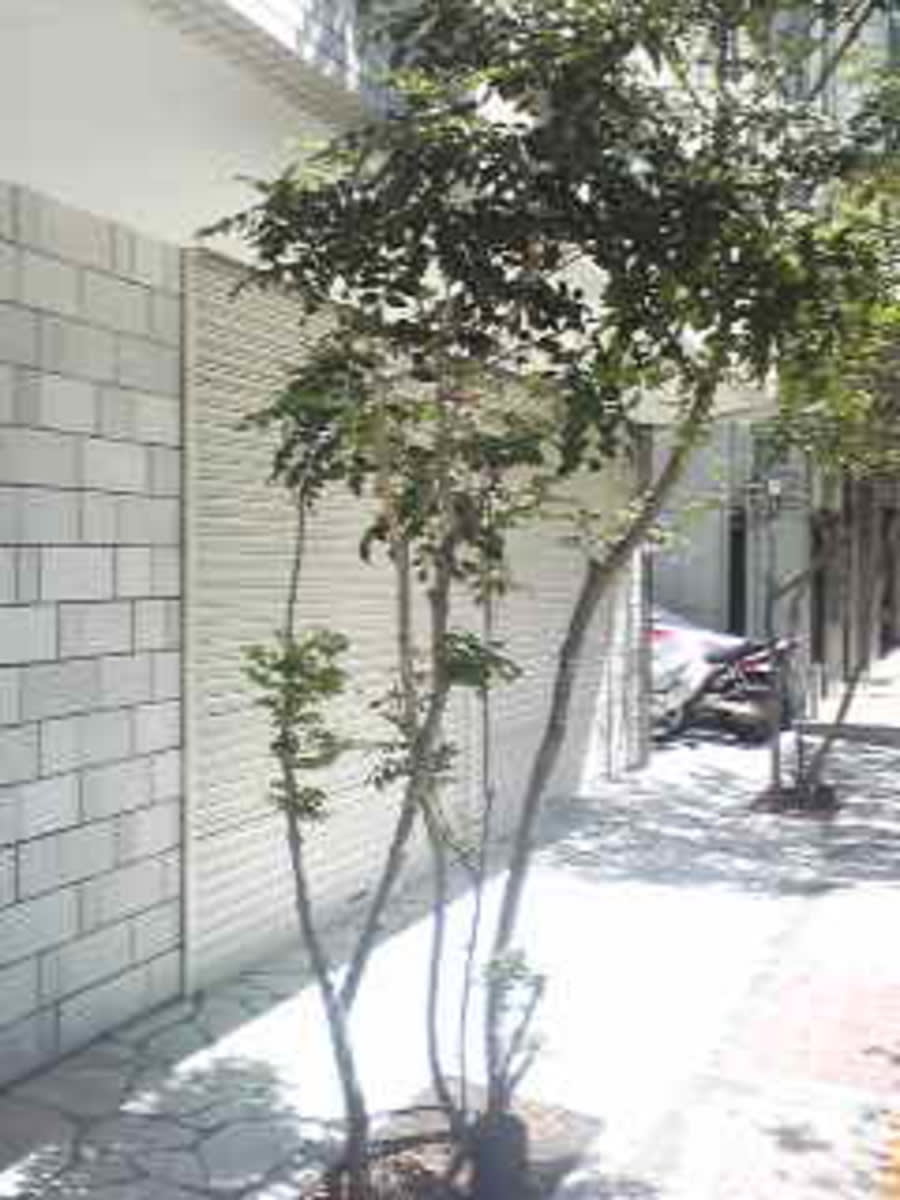 v20250427005210/fresh/building/J00100411145_3