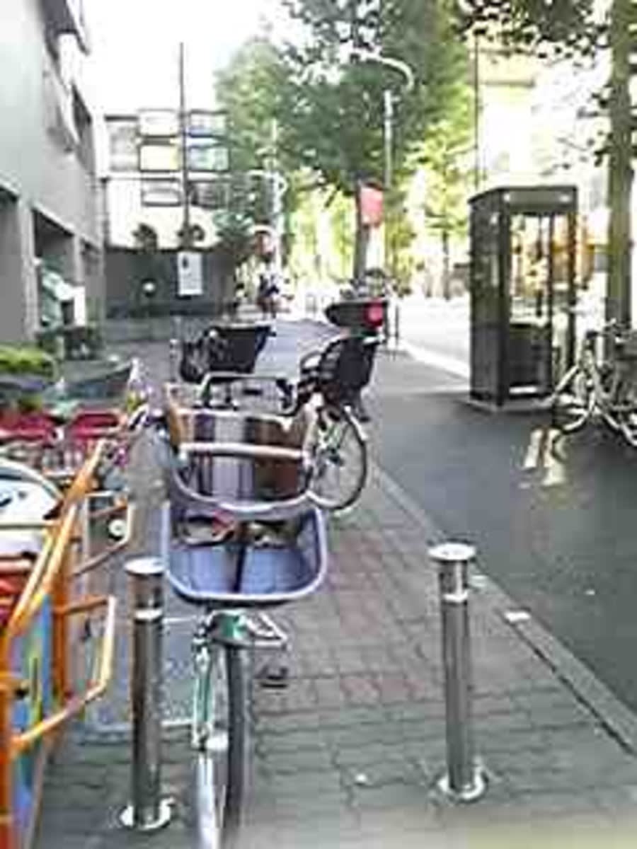 v20250427005210/fresh/building/J00100412009_2