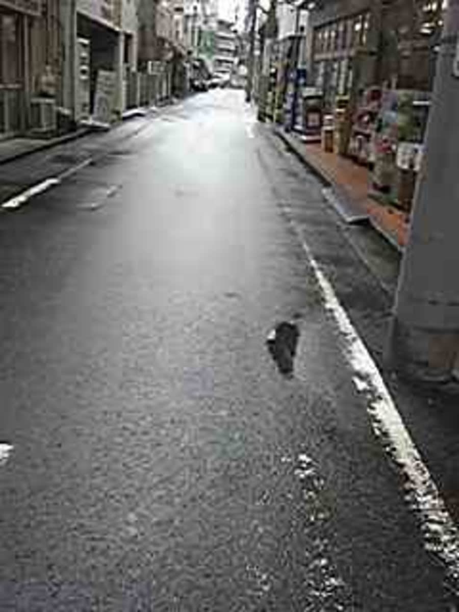 v20250427005210/fresh/building/J00100412796_2