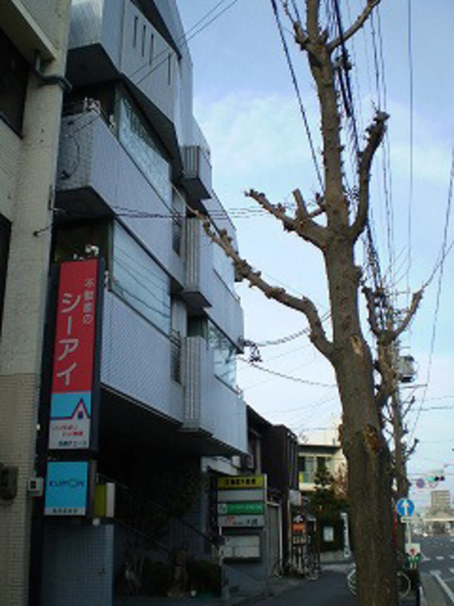 v20250427005511/fresh/building/J00100414556_1