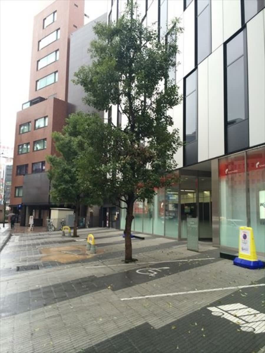 v20250427005511/fresh/building/J00100415139_2