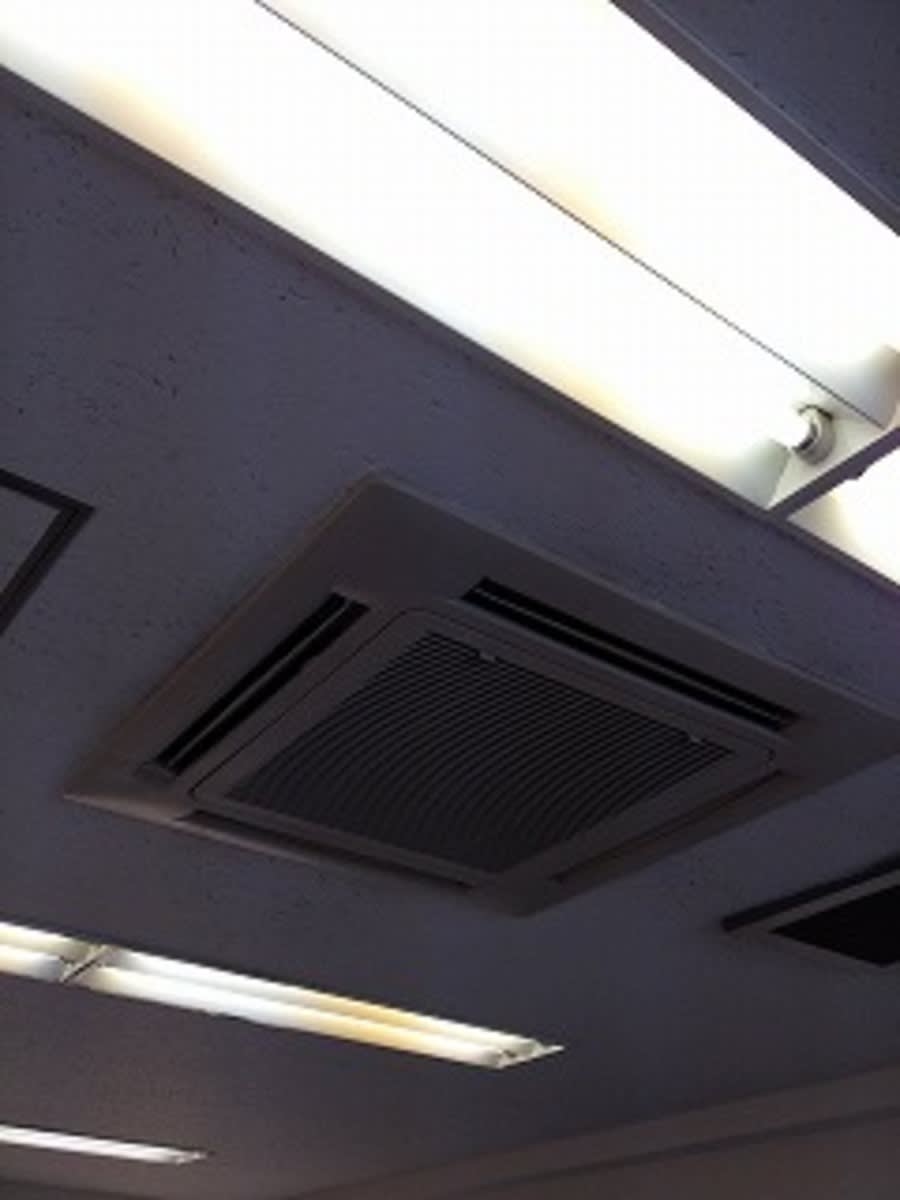 v20250427005511/fresh/building/J00100415312_10