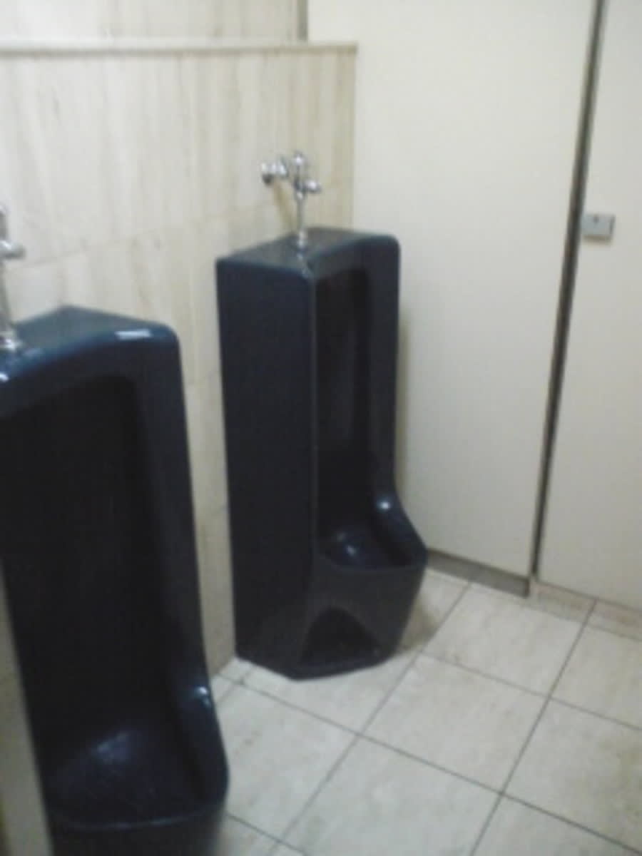 v20250427005511/fresh/building/J00100415356_7
