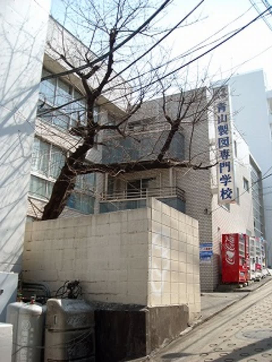 v20250427005511/fresh/building/J00100415941_1