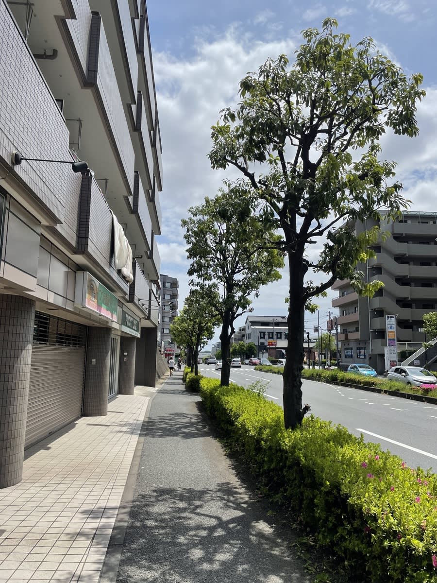 v20250427005820/fresh/building/J00100419709_2