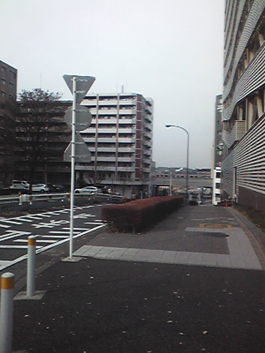 v20250427005820/fresh/building/J00100419858_2
