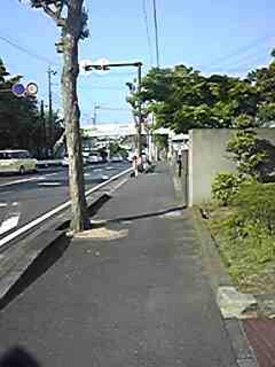 v20250427010205/fresh/building/J00100457870_2