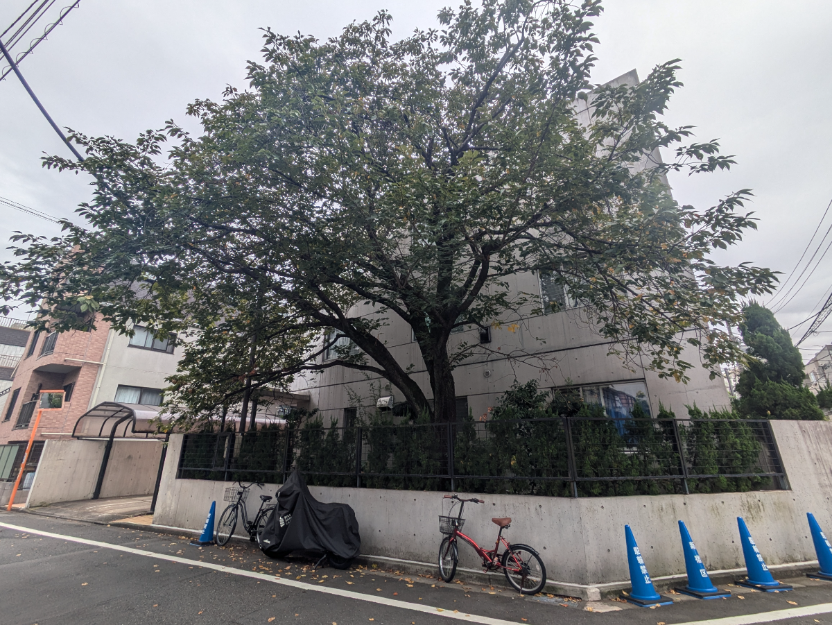 v20250427010206/fresh/building/J00100425414_11