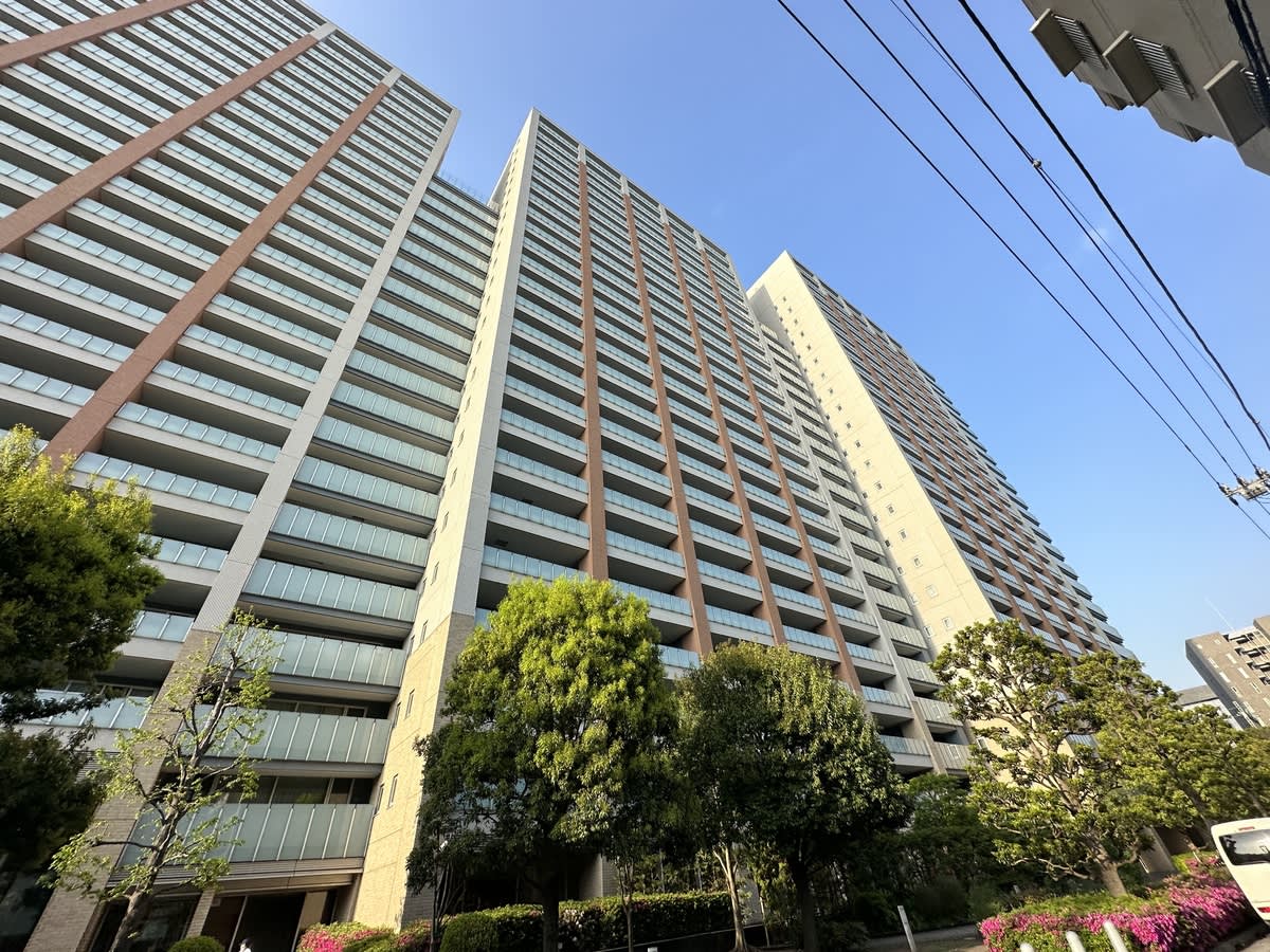 v20250427010817/fresh/building/J00100499241_6