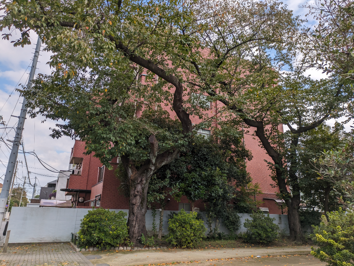 v20250427011159/fresh/building/J00100609444_16