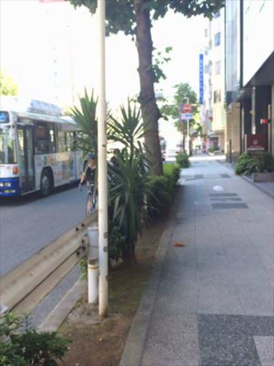 v20250427022212/fresh/building/J00100371526_2