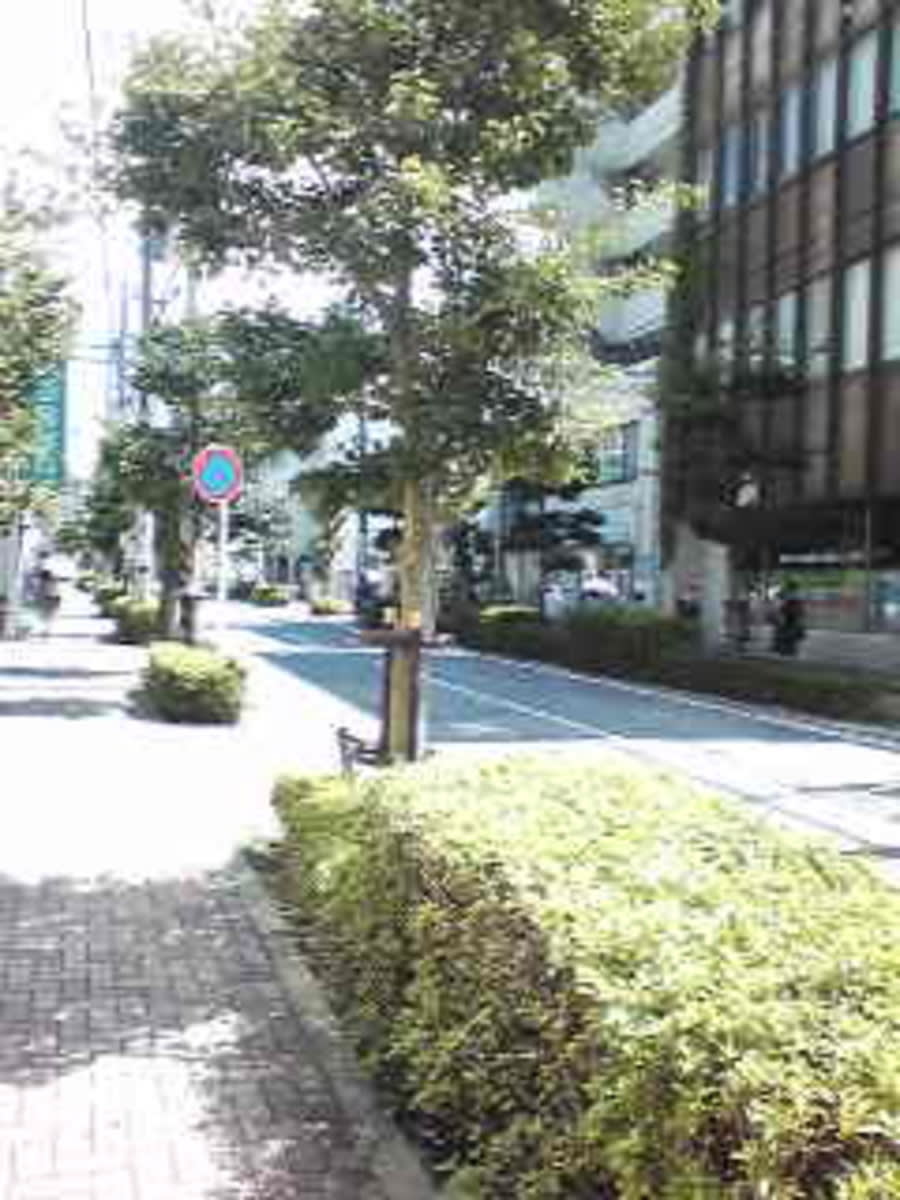 v20250427022213/fresh/building/J00100370903_2