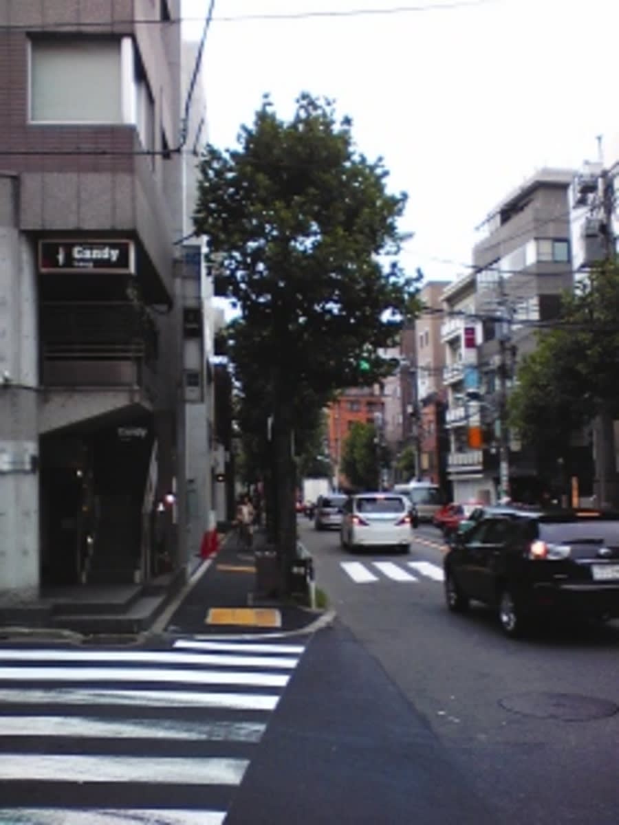 v20250427022807/fresh/building/J00100377099_2