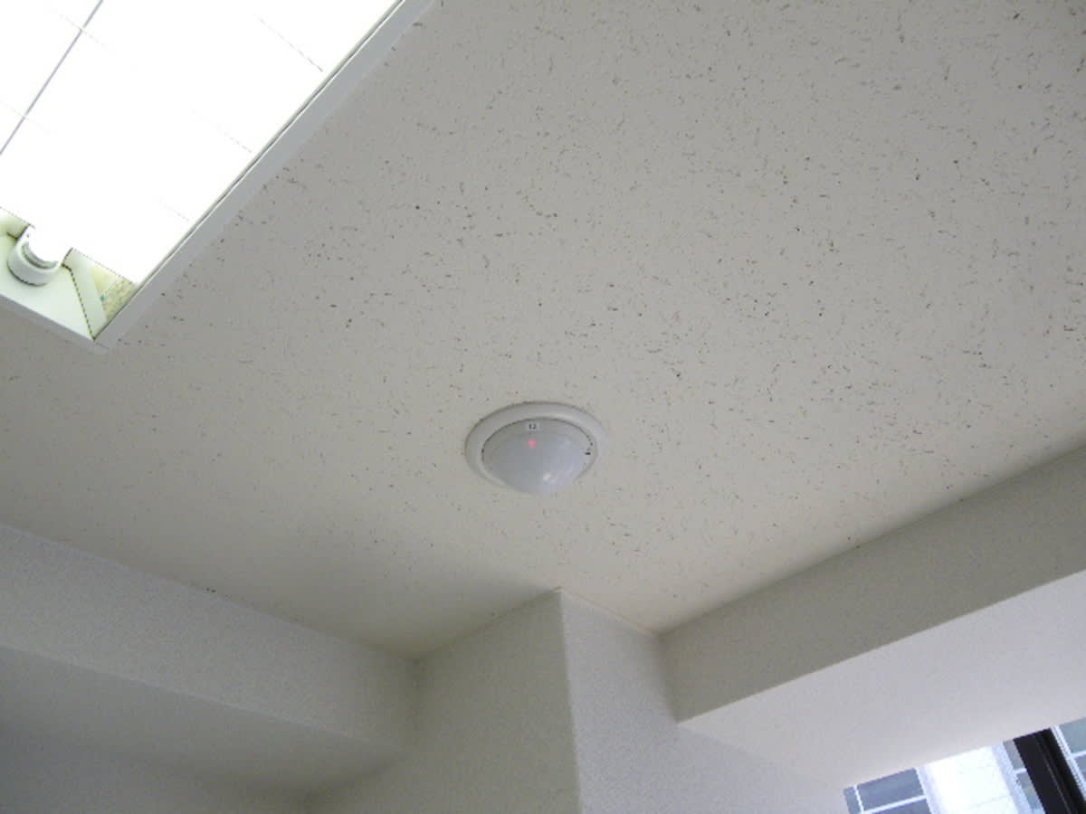 v20250427023127/fresh/building/J00100378906_10