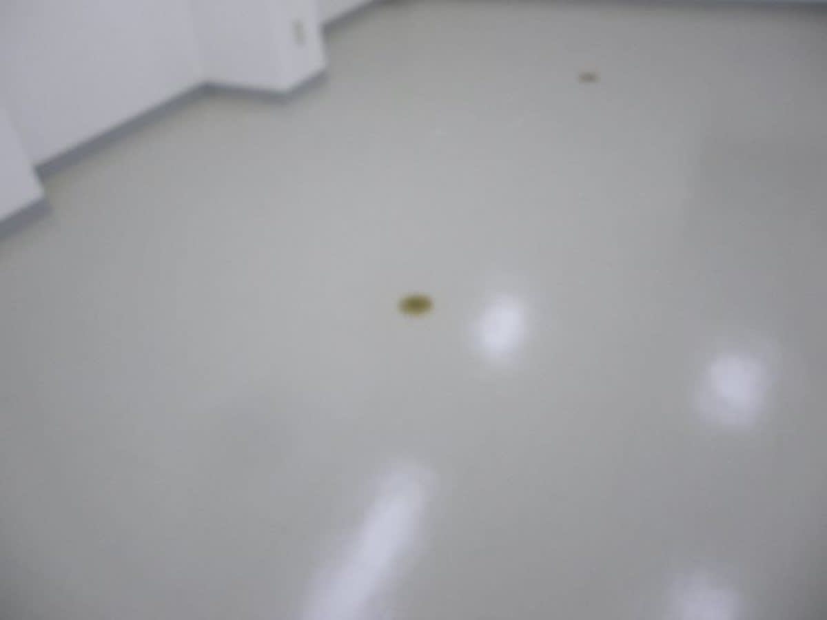 v20250502150712/fresh/building/J00100391897_11
