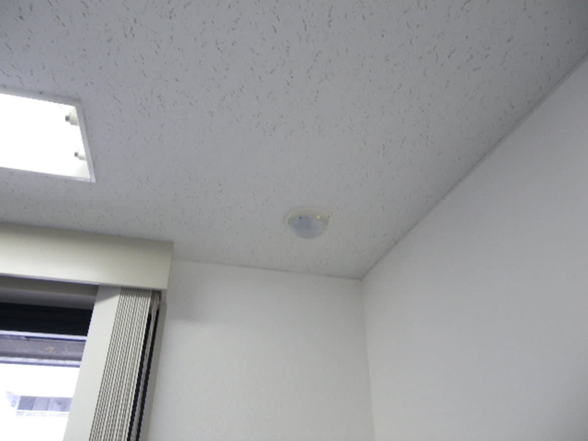 v20250527150802/fresh/building/J00100372314_13