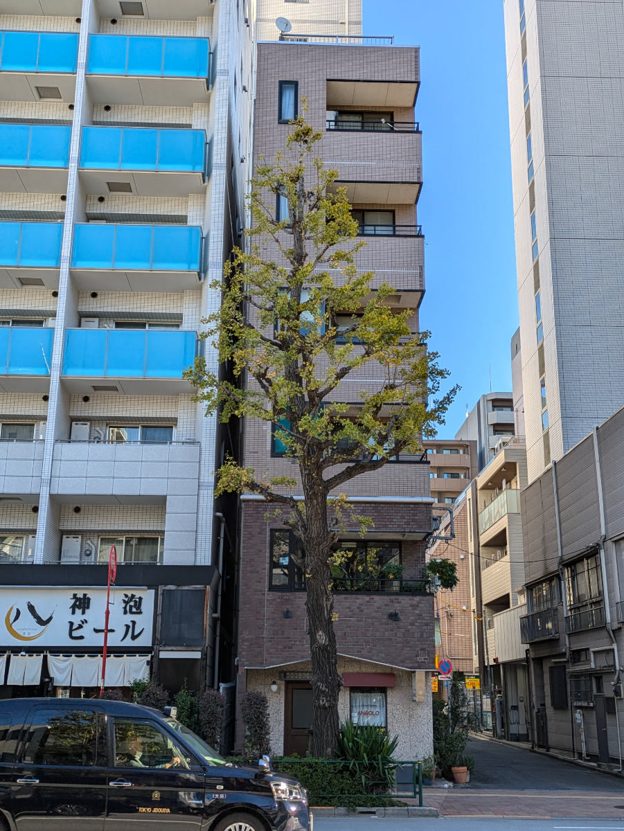 v20250530150901/fresh/building/J00100397973_6