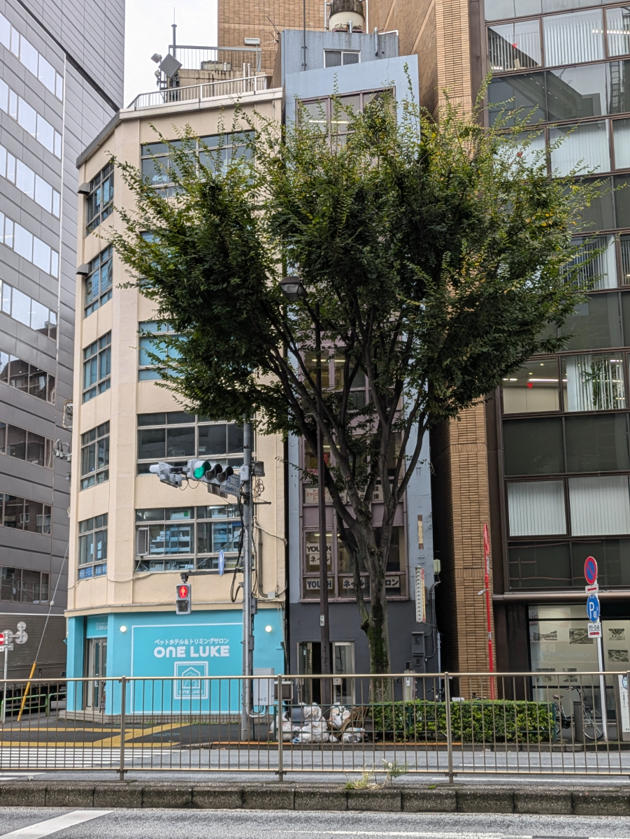 v20250530150901/fresh/building/J00100414833_6