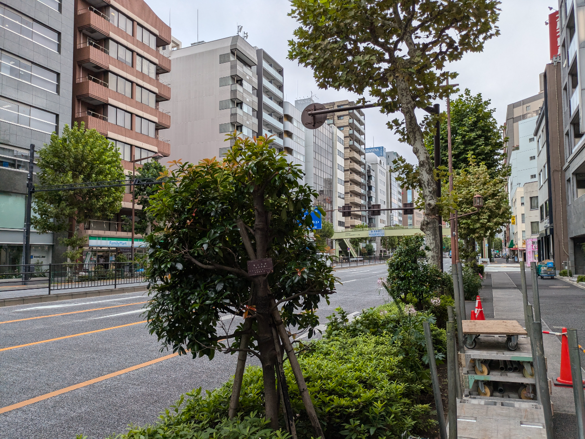 v20250601150545/fresh/building/J00100378824_11