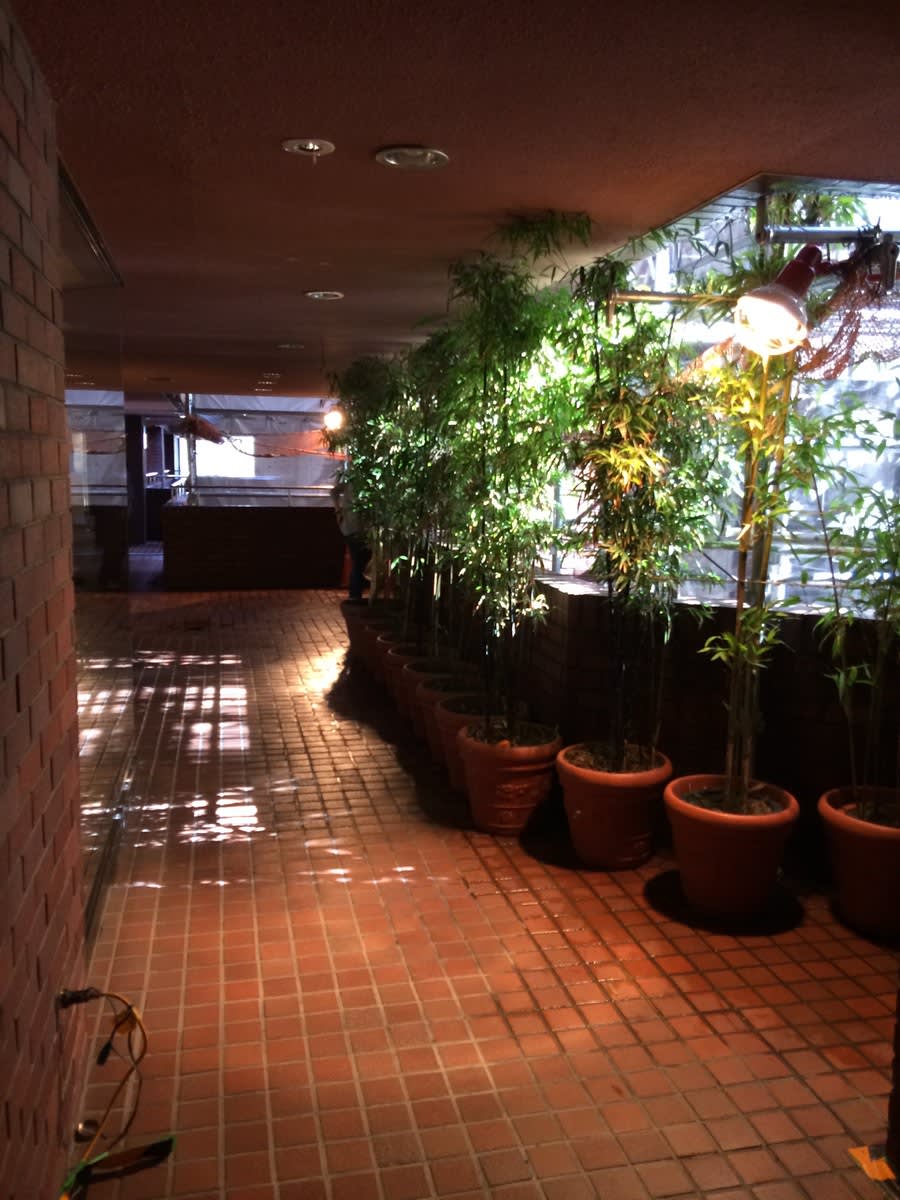 v20250611023000/fresh/building/J00100379618_15