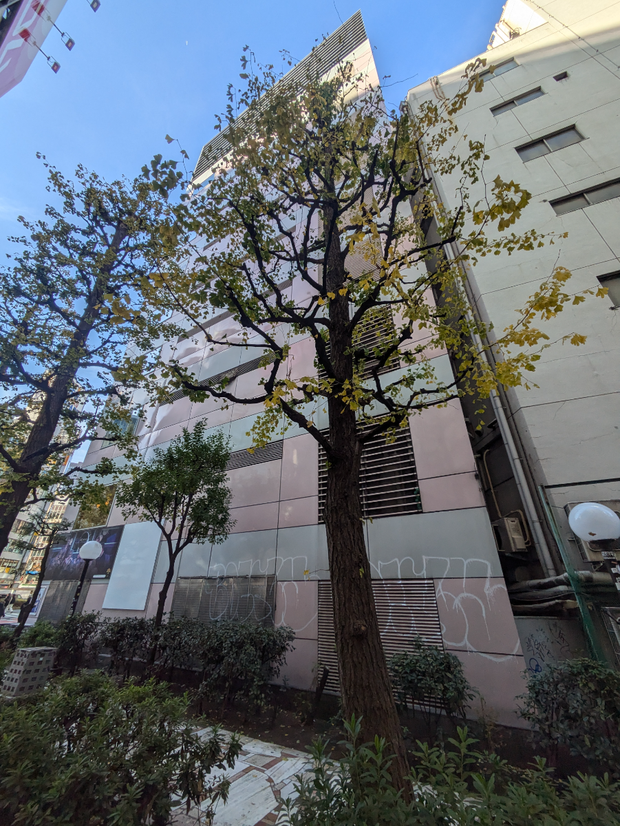 v20250611150815/fresh/building/J00100377540_6