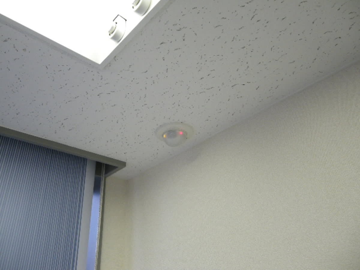 v20250611150815/fresh/building/J00100383186_13