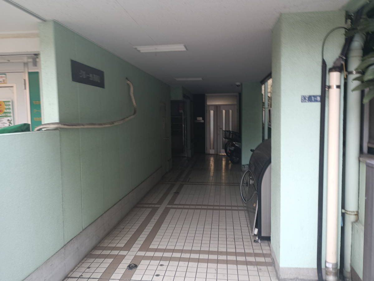 v20250625150905/fresh/building/J00100610118_3