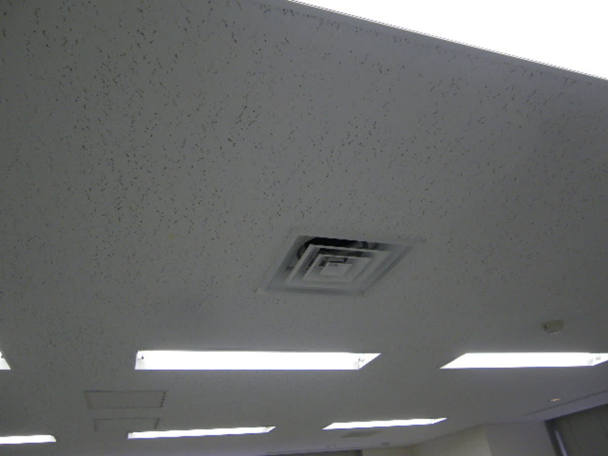 v20250714150702/fresh/building/J00100375745_12