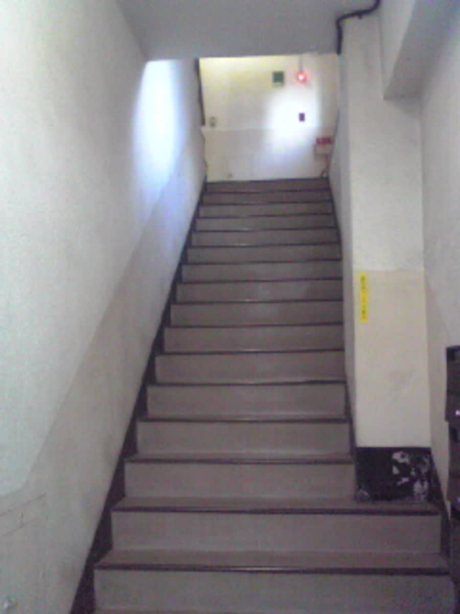 v20250715150905/fresh/building/J00100384286_4