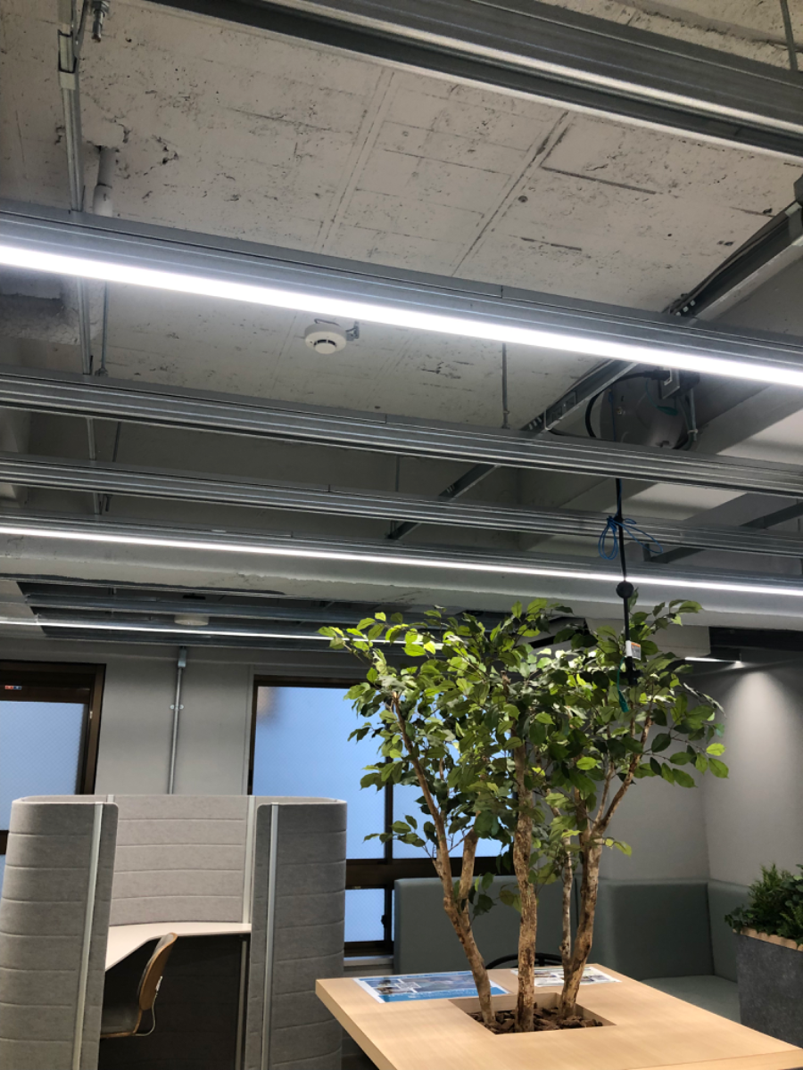 v20250728125500/fresh/building/J00100369848_15